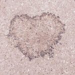 heart on pavement